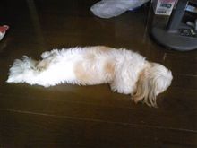 うっ( ̄▽ ̄;)点検と部品交換… うっ( ̄▽ ̄;)点検と部品交換…