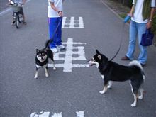 をぉ、同型同仕様！