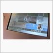 Nintendogs(DSの ...