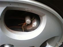 カマキリかな？