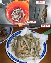釣り二回目