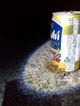 イカ釣りに出かけてきました