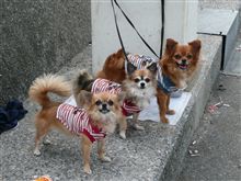 【東京港臨海大橋】若洲側トラス桁架設