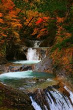 そろそろ紅葉シーズン♪