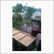 一日雨・・・