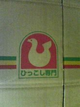 ハト ハト