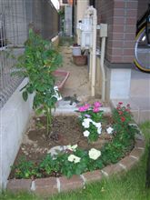お庭に花を咲かせましょう