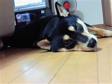 眠れん。
