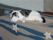 今日は棚卸し。