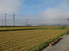 おはようございます。