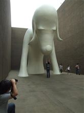 hachiではなく