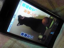 せっかくなので、紹介します。