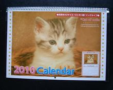 もう来年のカレンダー出てるよね～１００円ショップでねこカレンダー買ってきた。