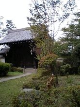 またまた・・・