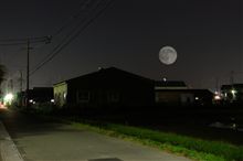 今日は中秋の名月