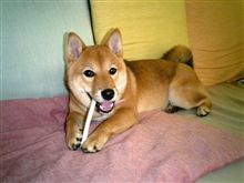 秋ですねぇ～
