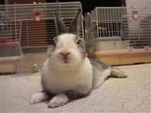 元気になりました！