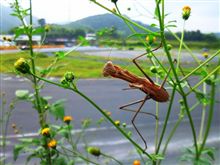 満員男のチカラを