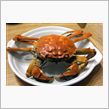 カニ食べ行こう！