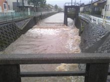 おはようございます。台風通過中の朝ですが・・・ おはようございます。台風通過中の朝ですが・・・