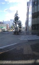 やっとこせで…