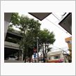 風がかなり強くなってきました