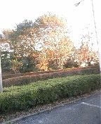 これから帰るのに