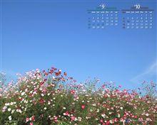 明日は金曜日♪