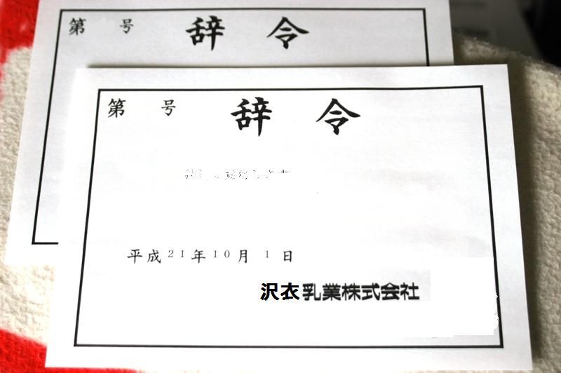 新発売 新商品 辞令は突然に(笑)｜team_tomysのブログ｜サンデーシューター始め その他