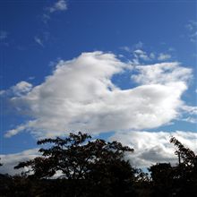 ☆今日はいい天気♪＾＾