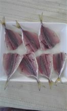 流石アジ♪