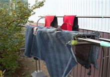 来たるべき時に備えて・・・