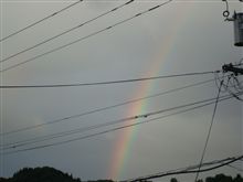 １０月１１日　雨上がりな連休２日目日曜日、おはです～♪