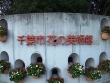 なんとなく、植物