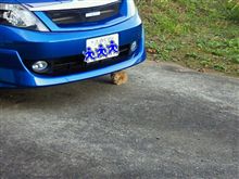 にゃ～っ