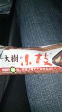 枝 枝