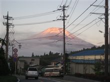 毎度のお山の散歩