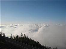 毎度ではないお山の散歩