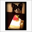 ☆HappyBirthday ...