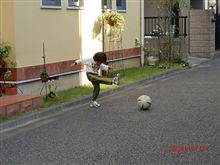 ファイヤトルネード!!! C= C= C= C= C= C= ┌(;・_・)┘ ))●　