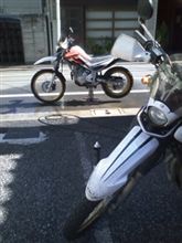 どうやら・・・