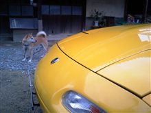 ロードスター トラブル回避(できたのか?) ロードスター トラブル回避(できたのか?)
