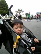 ＴＤＬ♪