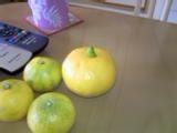 毎年恒例？アホみかんネタ(笑)
