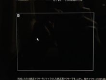 見れない。。。