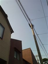 時差出勤の日に時差のお目覚め(*゜ー゜)vオハヨ♪