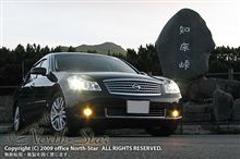 大きく"育った"その行く末は・・・ 大きく"育った"その行く末は・・・