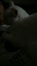 いくらなんでも近すぎじゃあ!?