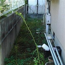 良い天気のお休みですなぁ～♪