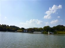 大高緑地公園